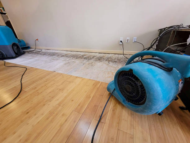 Professional Flood Damage Cleanup technician working in Madison, WV